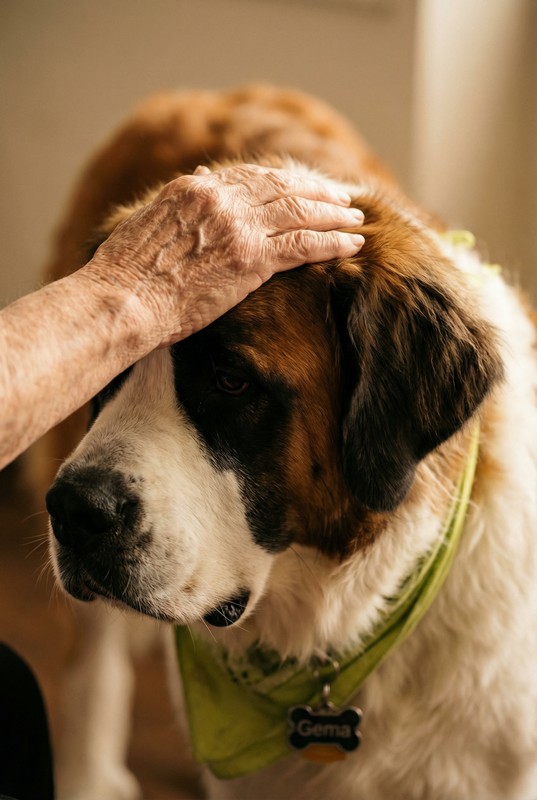 Gema Perro Terapeuta